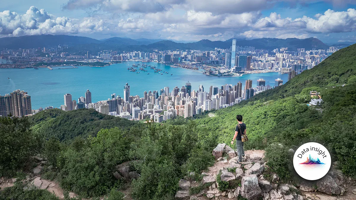 Person standing on a rocky hillside overlooking a dense city by a blue harbor, with green hills in the foreground and mountains in the distance; Data Insight watermark bottom right.
