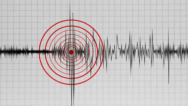 Seismograph-like waveform on a grid with a red bullseye target at the center of concentric circles overlapping the signal, right around the origin.