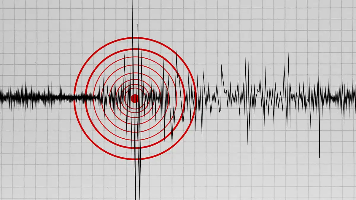 Seismograph-like waveform on a grid with a red bullseye target at the center of concentric circles overlapping the signal, right around the origin.