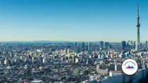 Wide Tokyo city skyline with Tokyo Skytree on the right and a circular Data insight logo in the lower-right corner, clear blue sky above.