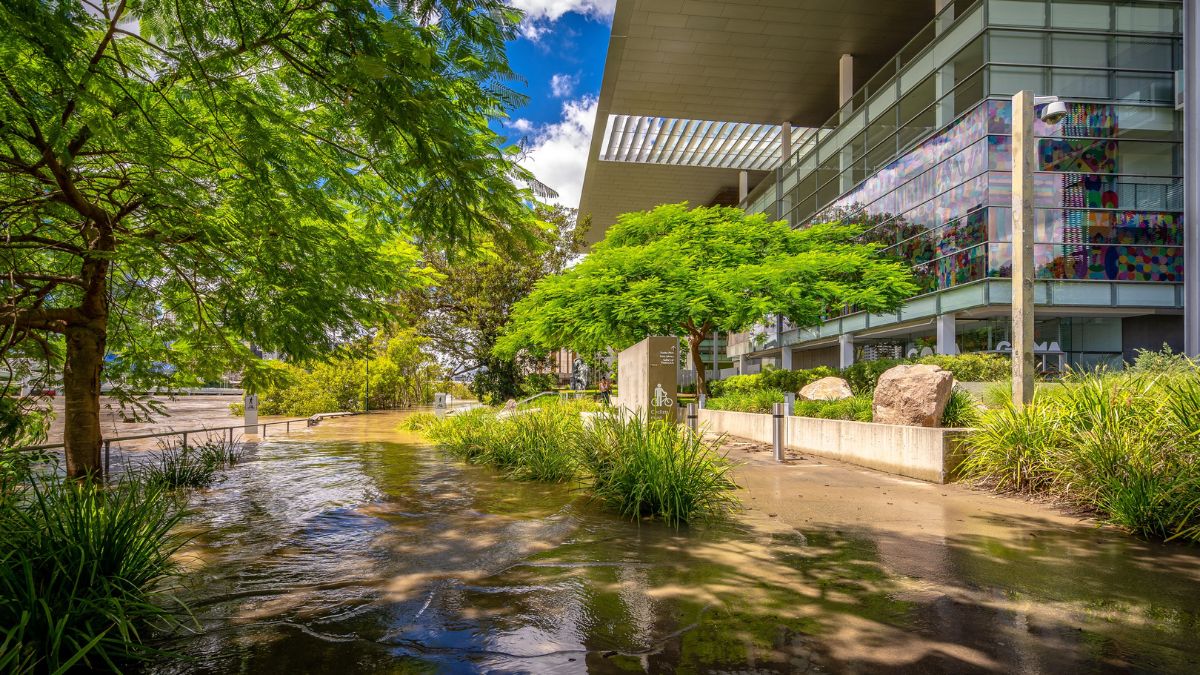 Flooded walkway beside a modern glass-front building, with green trees and reflection on the water-filled path.