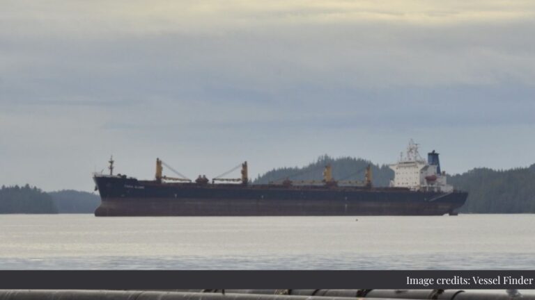 Large black bulk carrier sailing on calm water with a forested coastline in the distance.”
