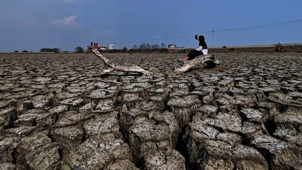 Person sits on a large fallen log across a cracked, parched landscape under a blue sky, highlighting severe drought.