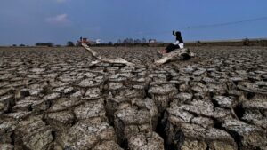 Person sits on a large fallen log across a cracked, parched landscape under a blue sky, highlighting severe drought.