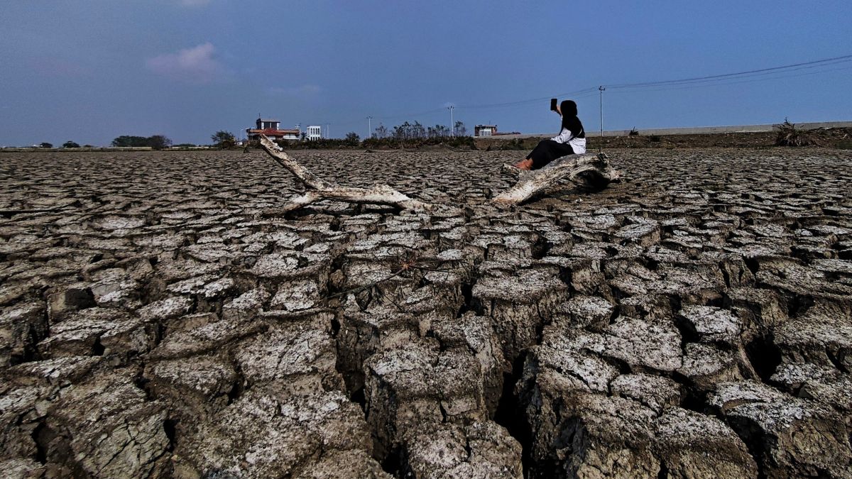 Person sits on a large fallen log across a cracked, parched landscape under a blue sky, highlighting severe drought.