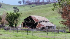 ICA reports almost A$600m in Victorian bushfire claims