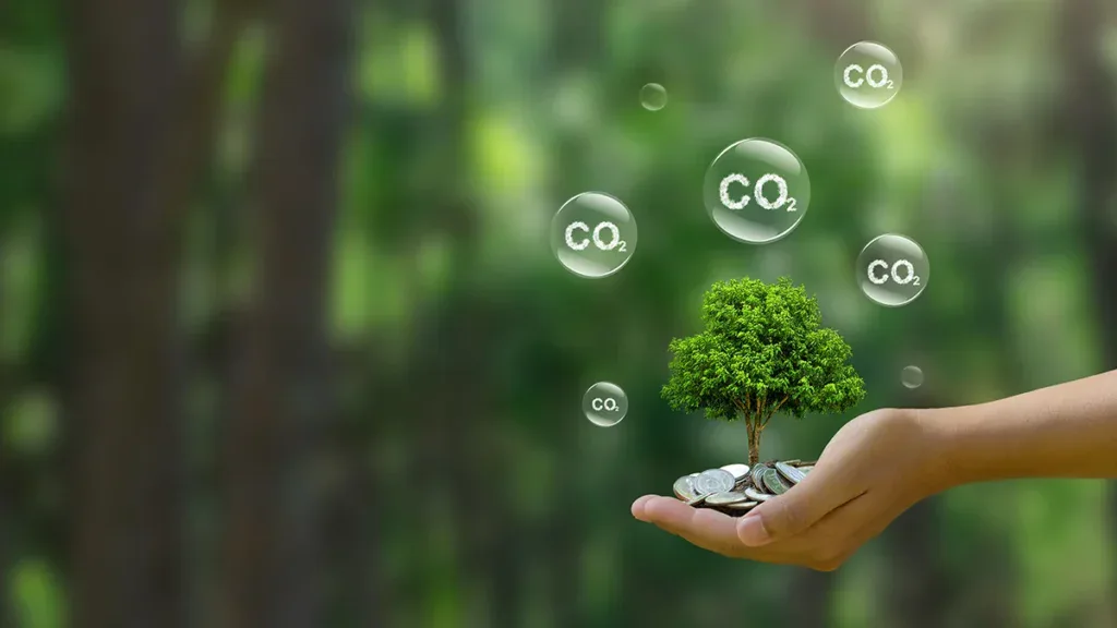 Hand holding a small green tree perched on coins, with CO2 bubbles floating above to symbolize carbon offset.