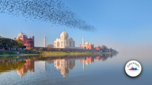 India’s GI direct premium growth rebounds to 10% in August as health, motor advance India’s GI direct premium growth returns to 10% in August as health, motor advance