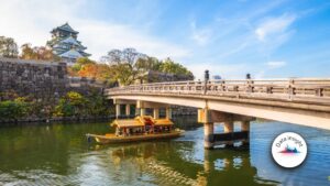 Japan direct GI premiums rise 4.6% in Q1 FY2026 as motor, fire, misc expand