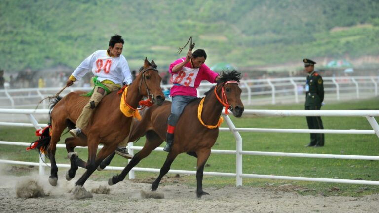 MGG Insurance Brokers places first cover for horses transiting to China