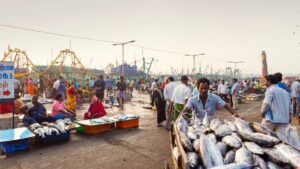Private insurers to enter India’s aquaculture insurance scheme