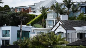 Halliwell expands New Zealand footprint with Maynard Marks acquisition Modern homes with balconies, palm trees and lush greenery on a densely built hillside.