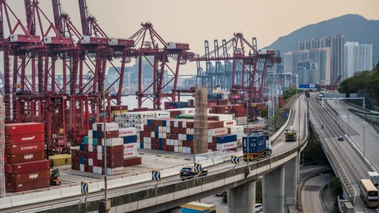 Container cranes and stacked cargo boxes beside elevated highways in Hong Kong, with high-rise buildings and hills beyond.