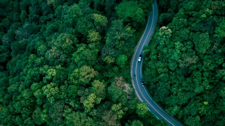 Aerial view of a winding road through dense green forest, with cars traveling along it.