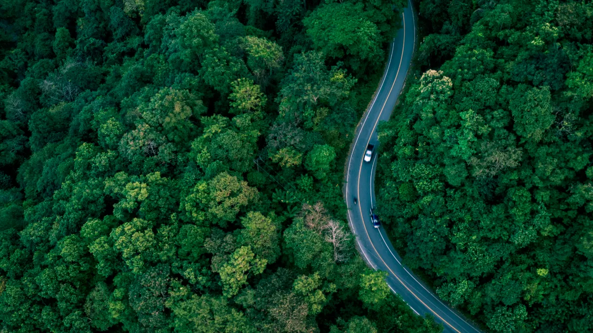 Aerial view of a winding road through dense green forest, with cars traveling along it.