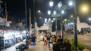 Meritz Fire & Marine prepares to sell Indonesian non-life insurance unit — report Night market stalls and diners line a street beneath ornate, brightly lit street lamps.