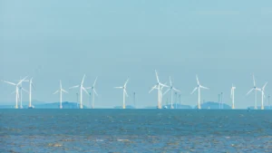 Offshore wind turbines stand in rows across the sea under a blue sky.
