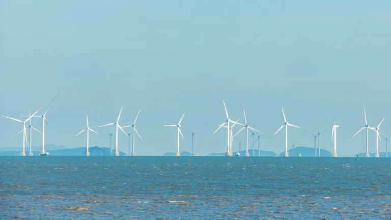 Offshore wind turbines stand in rows across the sea under a blue sky.