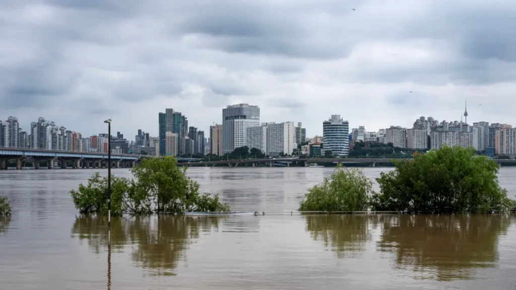 Floodwater surrounds riverside trees beneath a cloudy sky, with a bridge and dense city skyline behind.